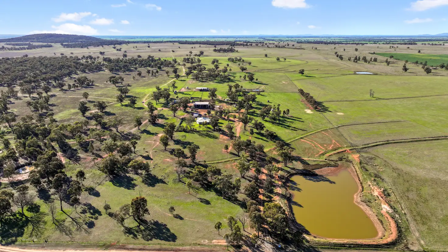Main view of Homely rural property listing, 292 Nolens Road, Colinroobie NSW 2700