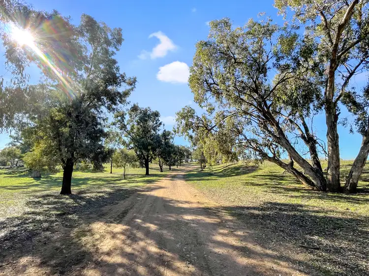Third view of Homely rural property listing, 292 Nolens Road, Colinroobie NSW 2700