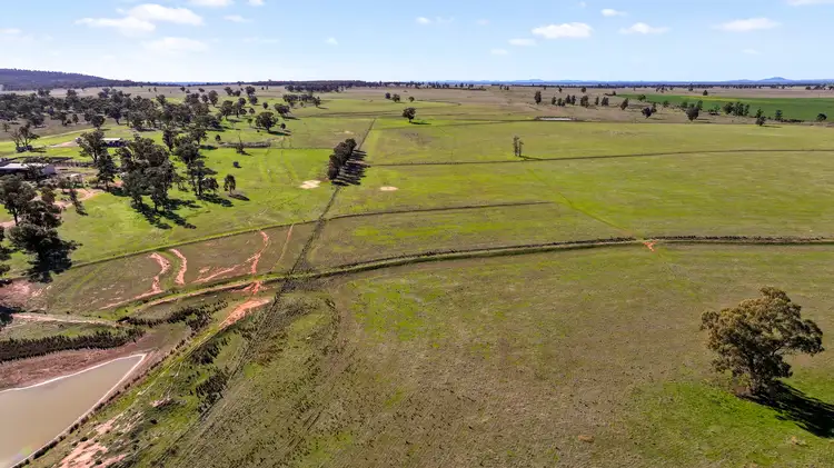 Fifth view of Homely rural property listing, 292 Nolens Road, Colinroobie NSW 2700