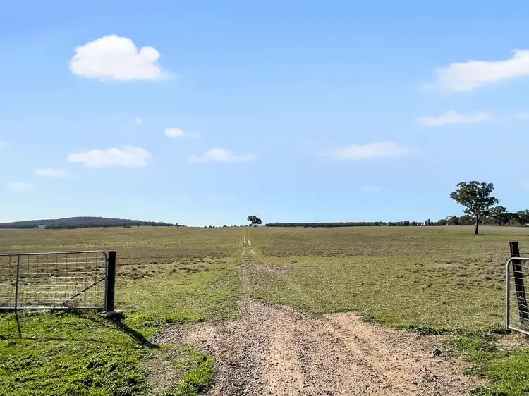 Sixth view of Homely rural property listing, 292 Nolens Road, Colinroobie NSW 2700