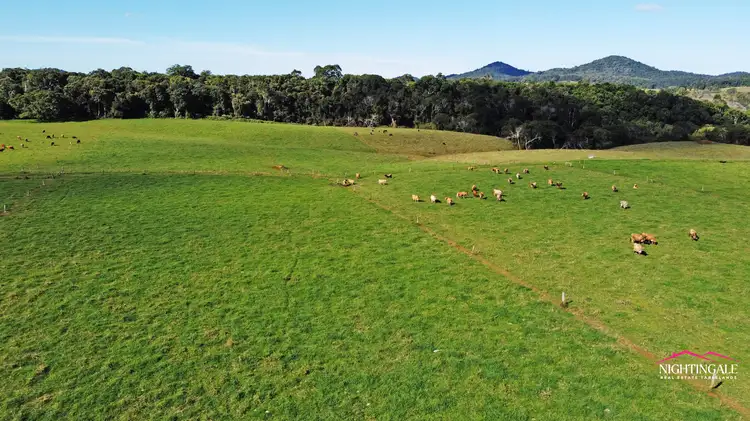 Fifth view of Homely rural property listing, 2381 Beatrice Way, Ravenshoe QLD 4888