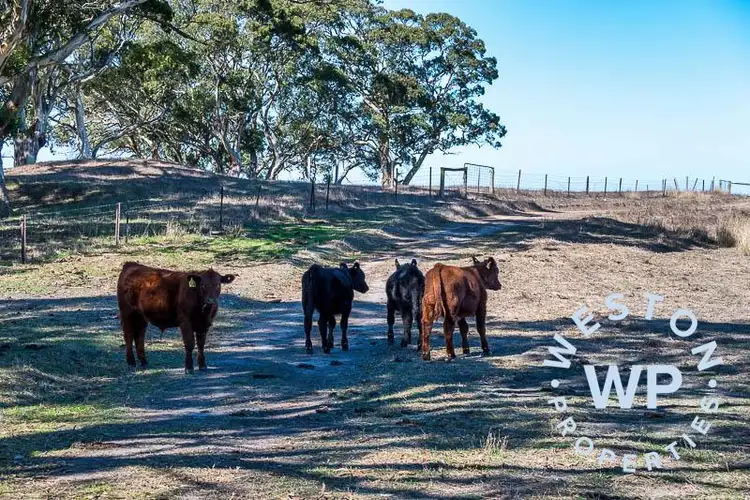 Sixth view of Homely rural property listing, Lot 4 Charcoal Pit Road, Harrogate SA 5244