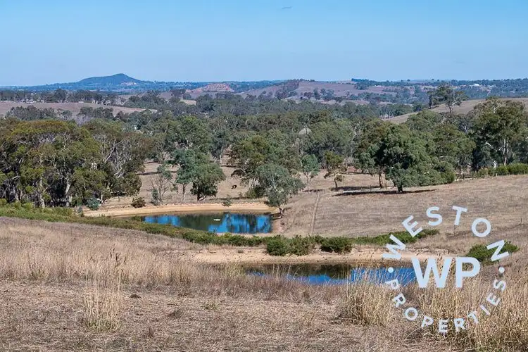 Seventh view of Homely rural property listing, Lot 4 Charcoal Pit Road, Harrogate SA 5244