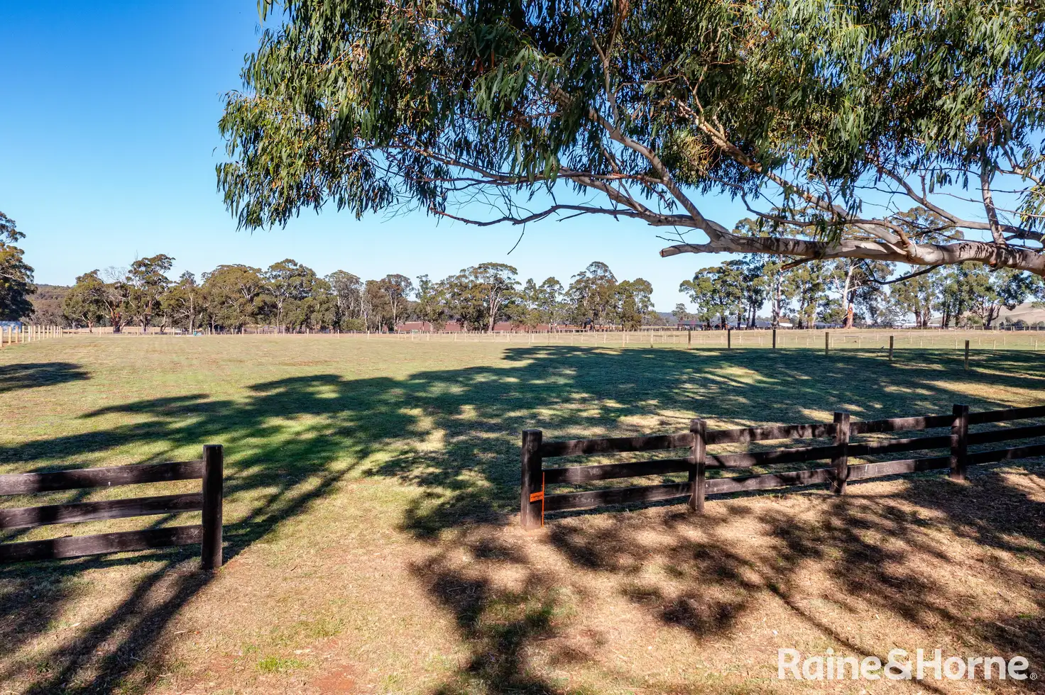 Main view of Homely land listing, 20 Collins Road, Glenlyon VIC 3461