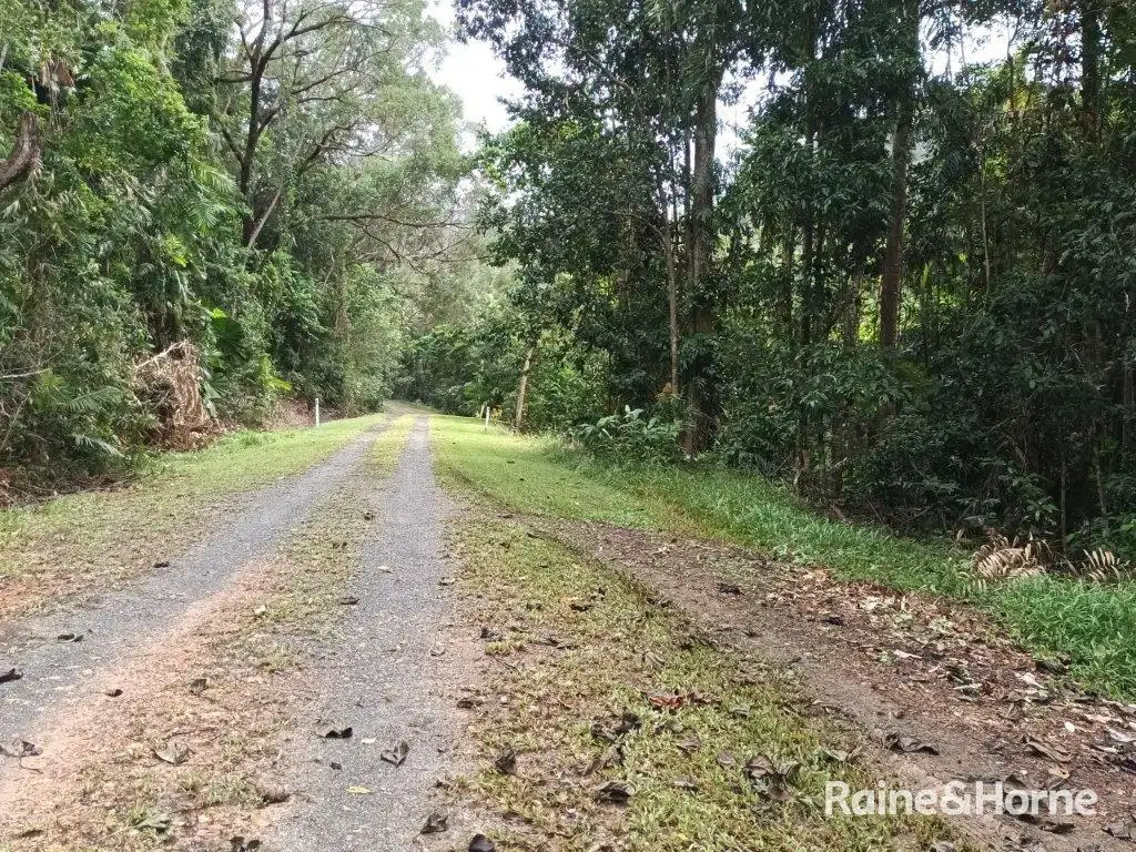 Main view of Homely land listing, Lot 11 Milky Pine Road, Kimberley, Daintree QLD 4873