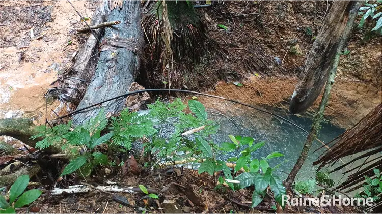 Third view of Homely land listing, Lot 11 Milky Pine Road, Kimberley, Daintree QLD 4873