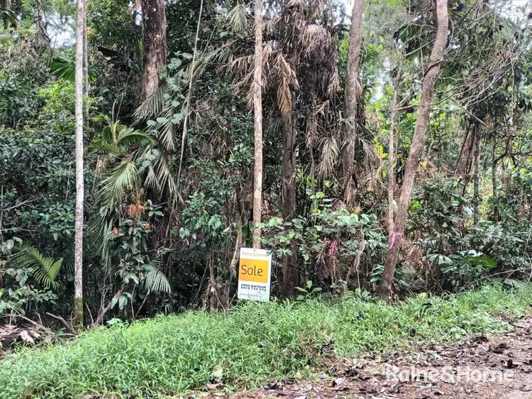 Fourth view of Homely land listing, Lot 11 Milky Pine Road, Kimberley, Daintree QLD 4873