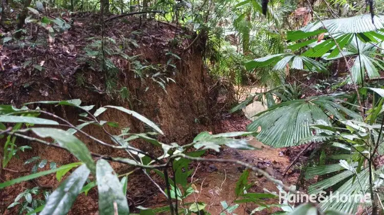 Sixth view of Homely land listing, Lot 11 Milky Pine Road, Kimberley, Daintree QLD 4873