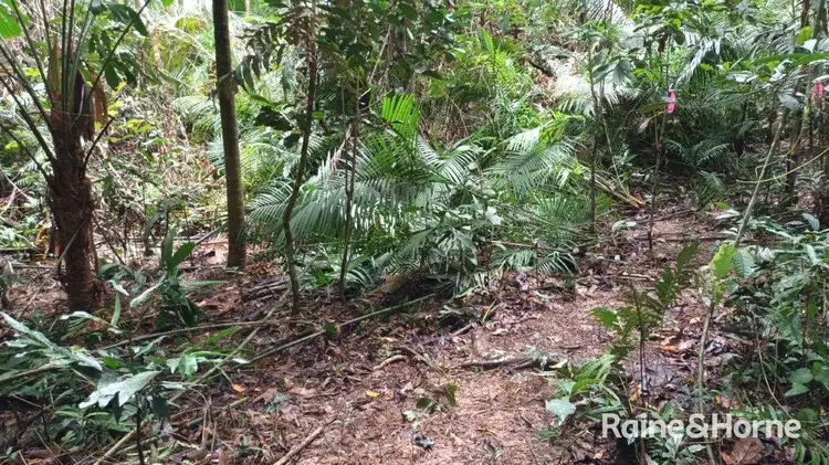 Seventh view of Homely land listing, Lot 11 Milky Pine Road, Kimberley, Daintree QLD 4873