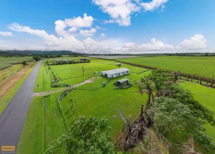 Second view of Homely rural property listing, 111 no.4 branch road, Silkwood QLD 4856