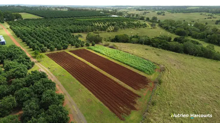 Second view of Homely rural property listing, 740 Pine Creek Road, Givelda QLD 4670