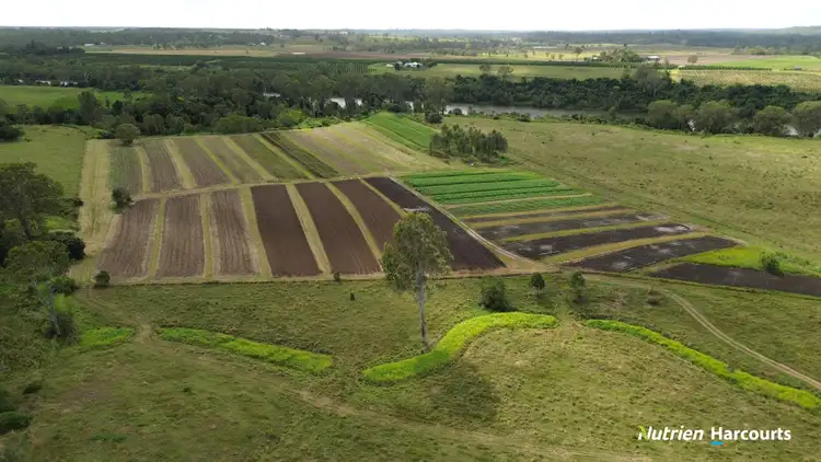 Third view of Homely rural property listing, 740 Pine Creek Road, Givelda QLD 4670