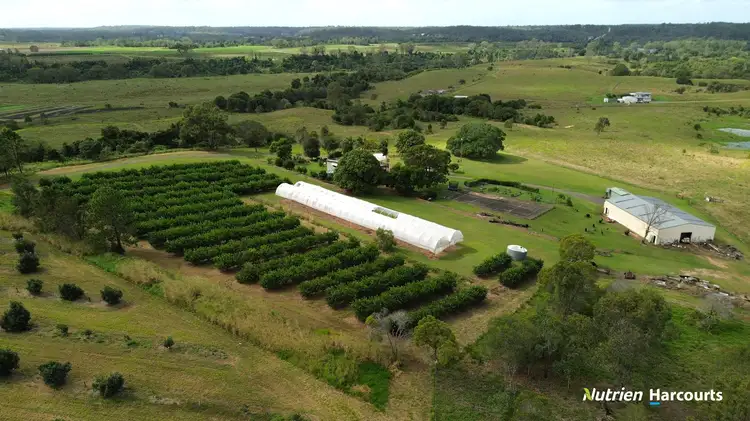 Fifth view of Homely rural property listing, 740 Pine Creek Road, Givelda QLD 4670