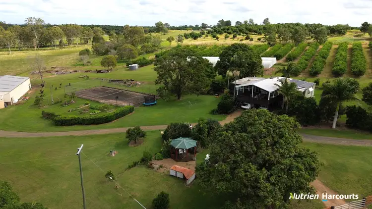 Sixth view of Homely rural property listing, 740 Pine Creek Road, Givelda QLD 4670