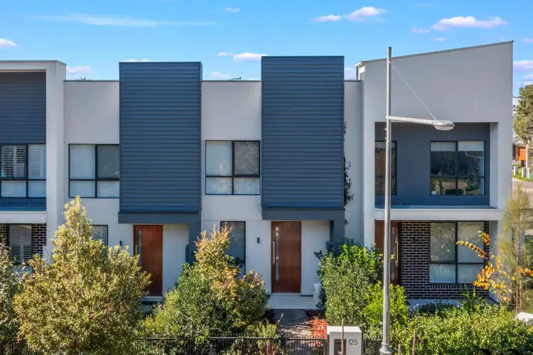 125 Passiflora Avenue, Denham Court NSW 2565