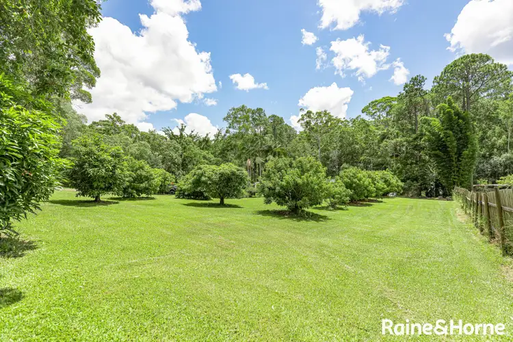 Fourth view of Homely house listing, 441 DATH HENDERSON ROAD, Tinbeerwah QLD 4563