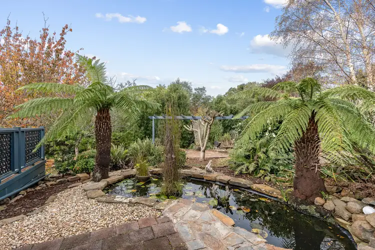 Fifth view of Homely house listing, 1 Fairview Avenue, Ringarooma TAS 7263