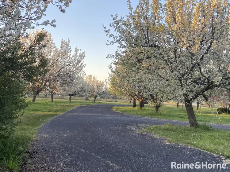 Third view of Homely studio listing, Address available on request