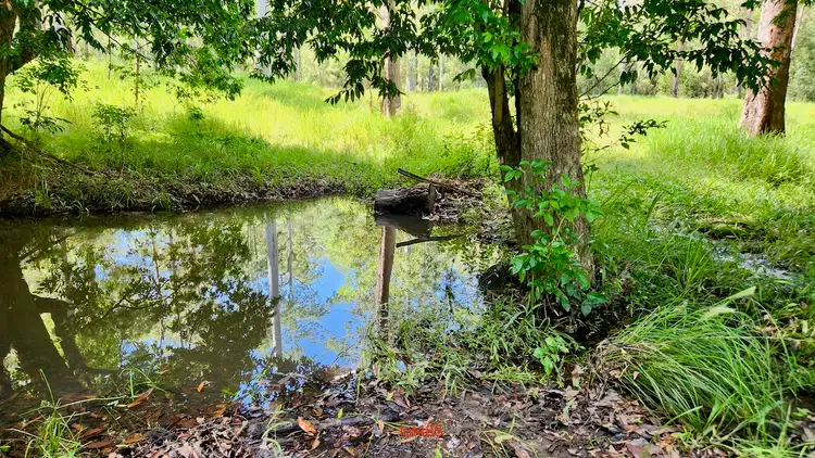 Sixth view of Homely land listing, Lot 61/485/484/483/7 Bellthorpe Road, Sandy Creek QLD 4515