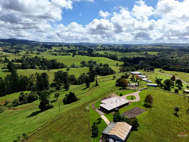 Fourth view of Homely house listing, 888 Beatrice Way, Millaa Millaa QLD 4886