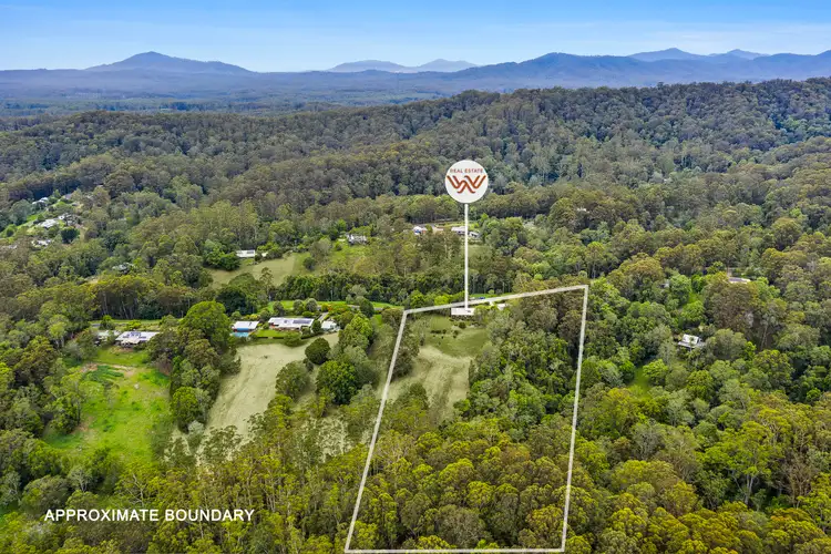 Third view of Homely rural property listing, 131 Mount Street, Bellingen NSW 2454