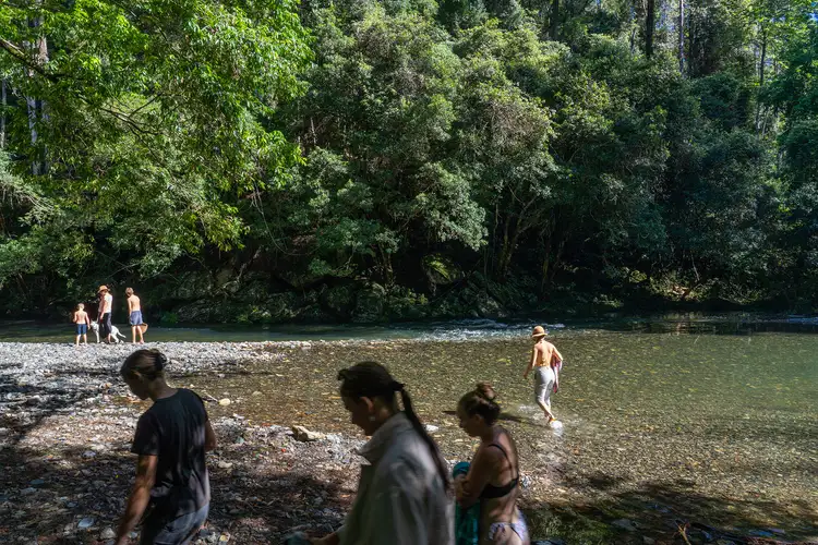 Seventh view of Homely land listing, 105 North Bank Road, Bellingen NSW 2454