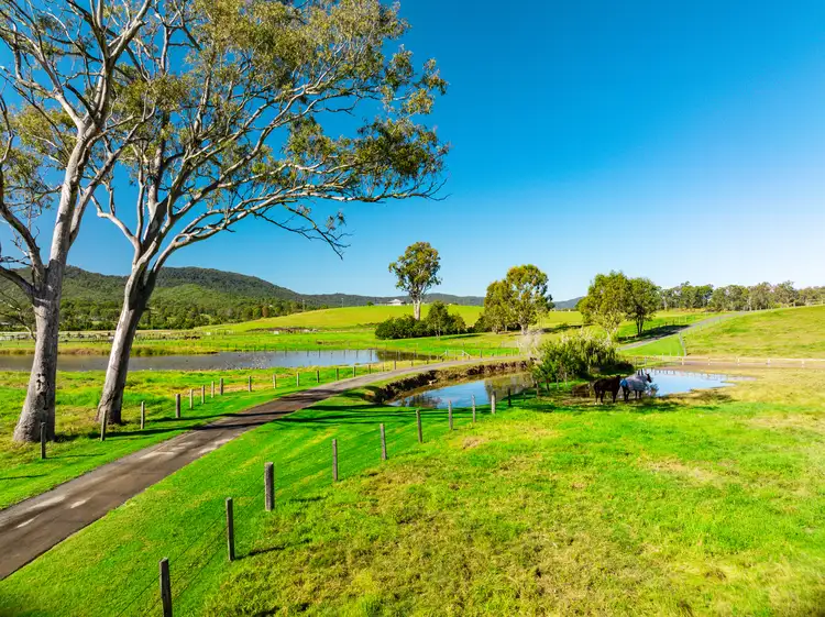 Main view of Homely house listing, 3483 Beaudesert Nerang Road, Biddaddaba QLD 4275