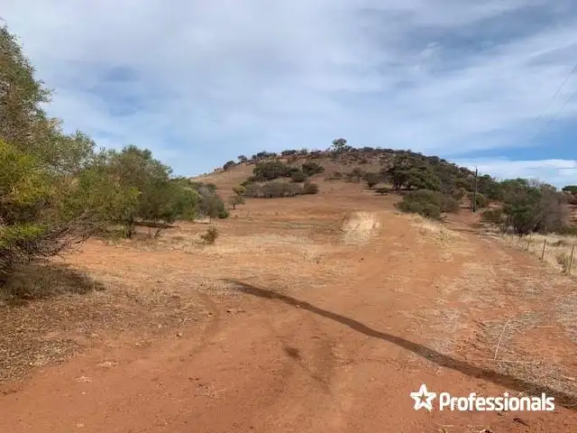 66 Chintapee Road, Bringo WA 6532