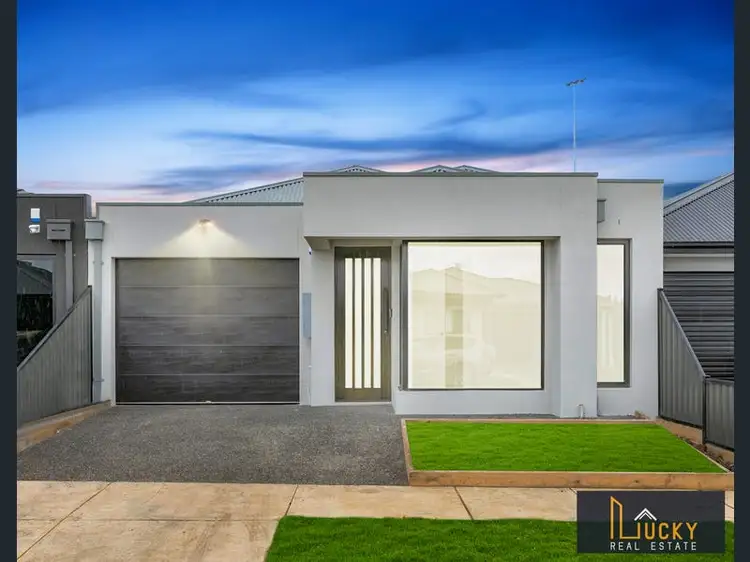 19 Jacksonia Drive, Mickleham VIC 3064
