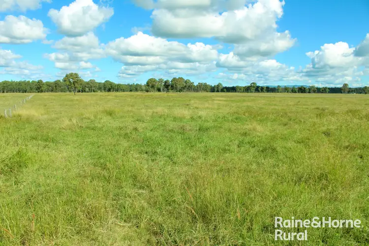 Second view of Homely rural property listing, 380 Busbys Flat Road, Leeville NSW 2470