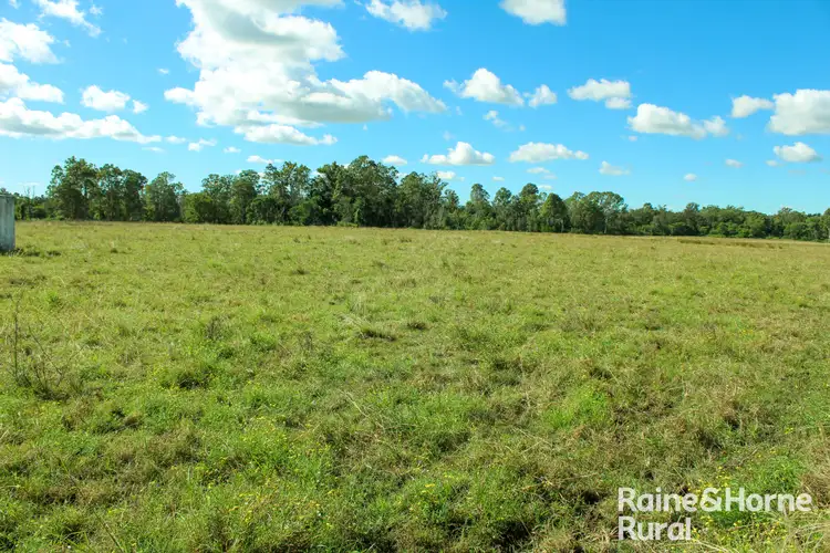 Fifth view of Homely rural property listing, 380 Busbys Flat Road, Leeville NSW 2470