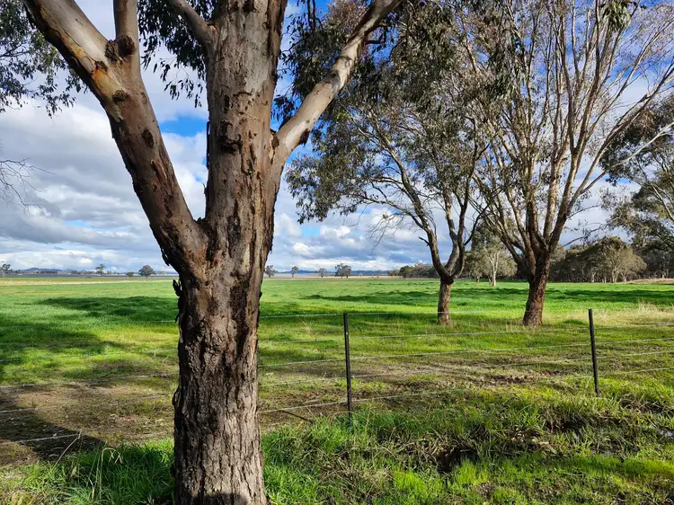 Main view of Homely land listing, Address available on request