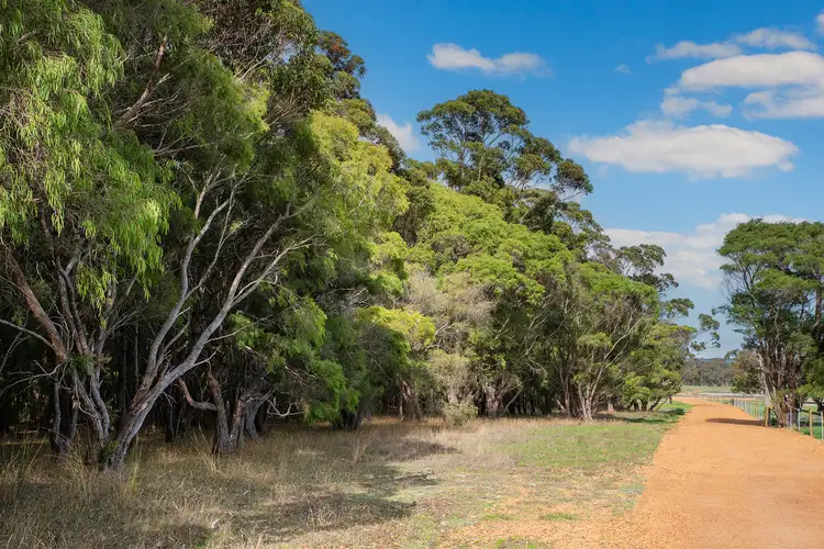 Second view of Homely land listing, 56 Firetail Rise, Karridale WA 6288