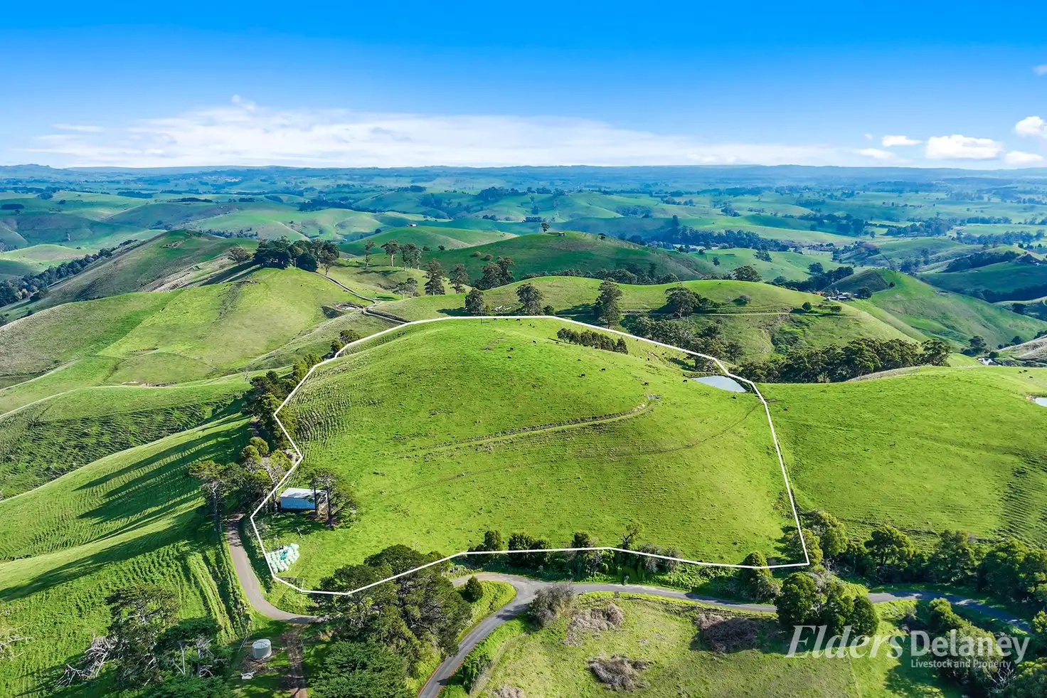 Main view of Homely rural property listing, 8 Curwen Road, Mountain View VIC 3988