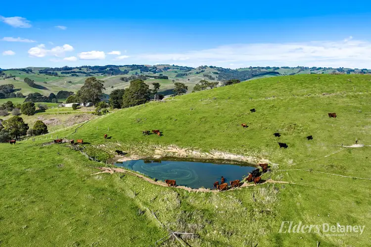 Third view of Homely rural property listing, 8 Curwen Road, Mountain View VIC 3988