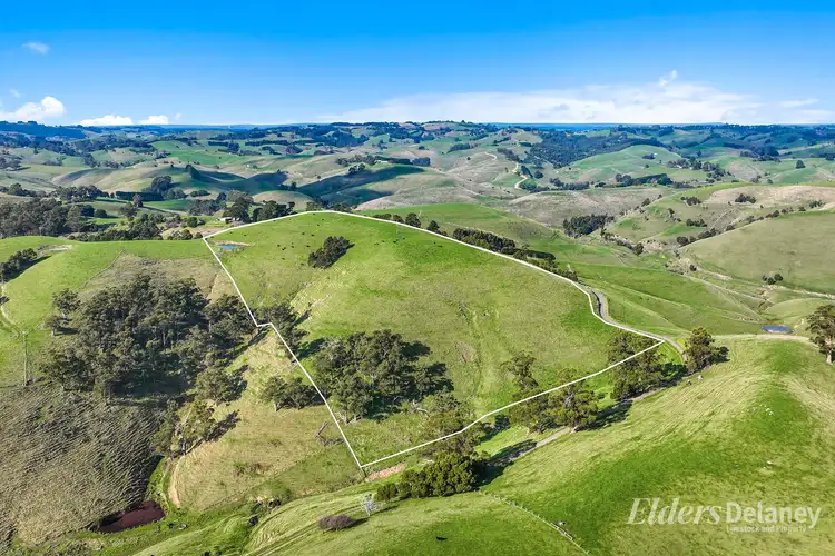 Fifth view of Homely rural property listing, 8 Curwen Road, Mountain View VIC 3988