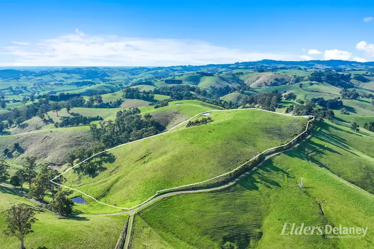 Seventh view of Homely rural property listing, 8 Curwen Road, Mountain View VIC 3988