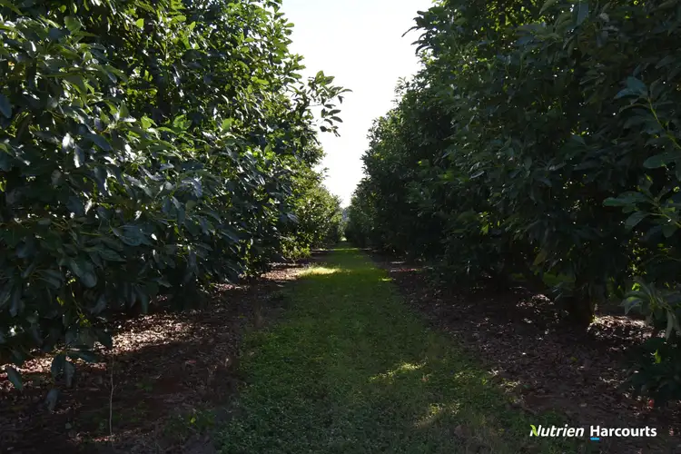 Third view of Homely rural property listing, 176 Huxley Road, North Isis QLD 4660