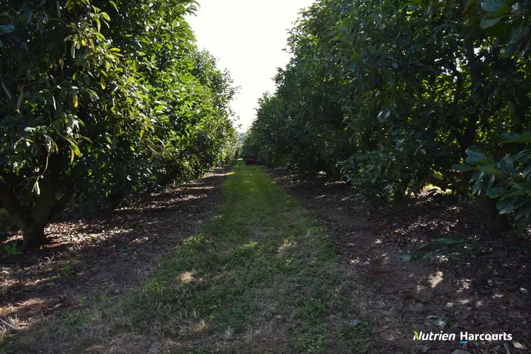 Fifth view of Homely rural property listing, 176 Huxley Road, North Isis QLD 4660