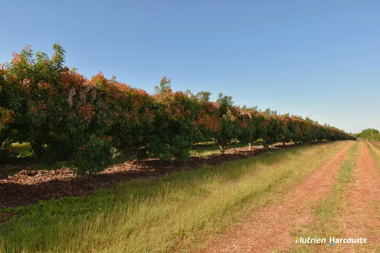 Seventh view of Homely rural property listing, 176 Huxley Road, North Isis QLD 4660