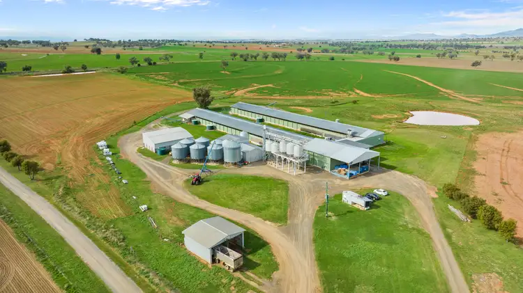 Main view of Homely rural property listing, "Glendon" 198 Careys Lane, Bective via, Tamworth NSW 2340