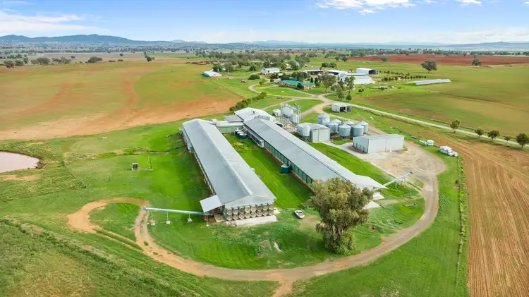 Third view of Homely rural property listing, "Glendon" 198 Careys Lane, Bective via, Tamworth NSW 2340