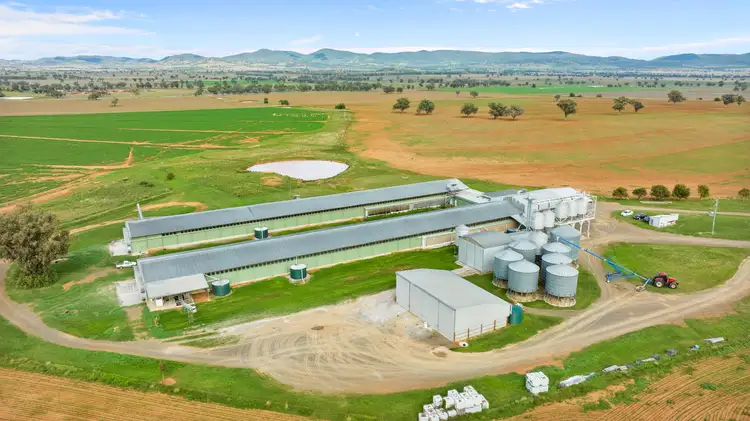 Fourth view of Homely rural property listing, "Glendon" 198 Careys Lane, Bective via, Tamworth NSW 2340