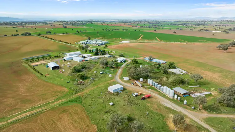 Sixth view of Homely rural property listing, "Glendon" 198 Careys Lane, Bective via, Tamworth NSW 2340