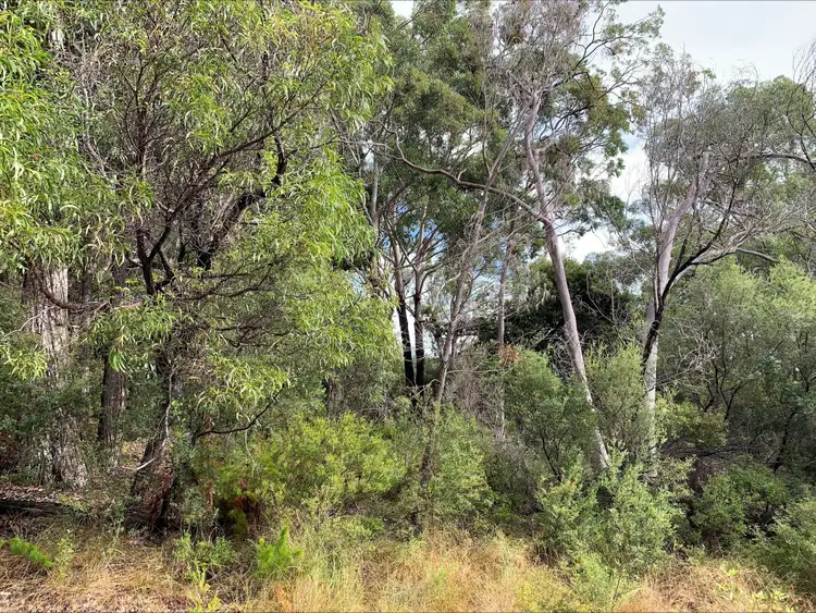 850 Kingfisher Heights Drive, Fraser Island QLD 4581