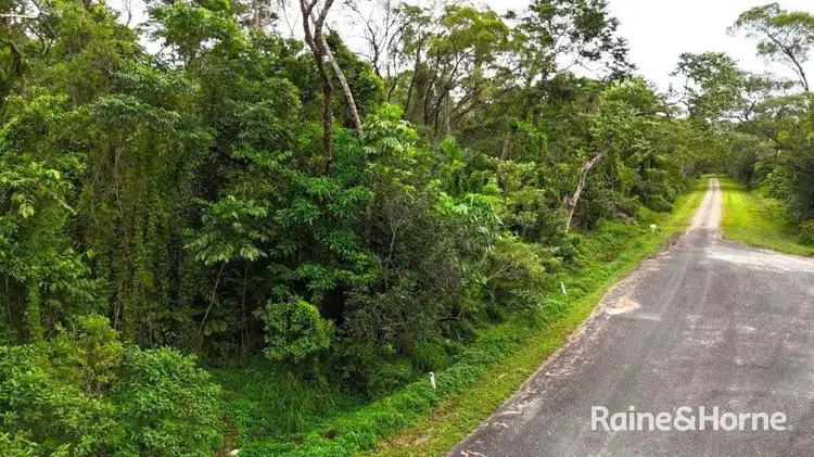 Fourth view of Homely land listing, Lot 92 Cape Tribulation Road, Diwan, Daintree QLD 4873