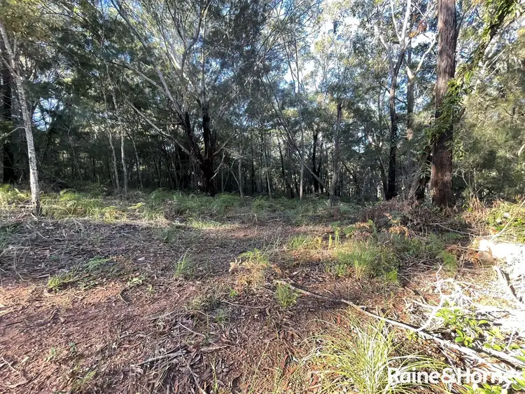 Main view of Homely land listing, 23 Castle Wood Crescent, Russell Island QLD 4184