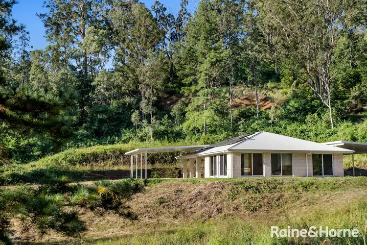 Lot 163 Ettrick Road, Ettrick, Kyogle NSW 2474