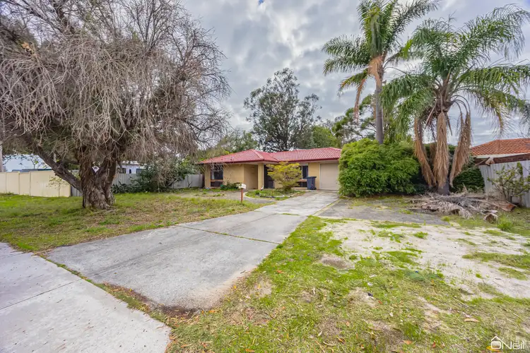 Main view of Homely house listing, 19 Ryland Road, Kelmscott WA 6111