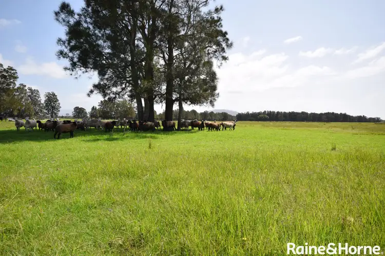 Fourth view of Homely rural property listing, 1111 Greenwell Point Road, Pyree NSW 2540